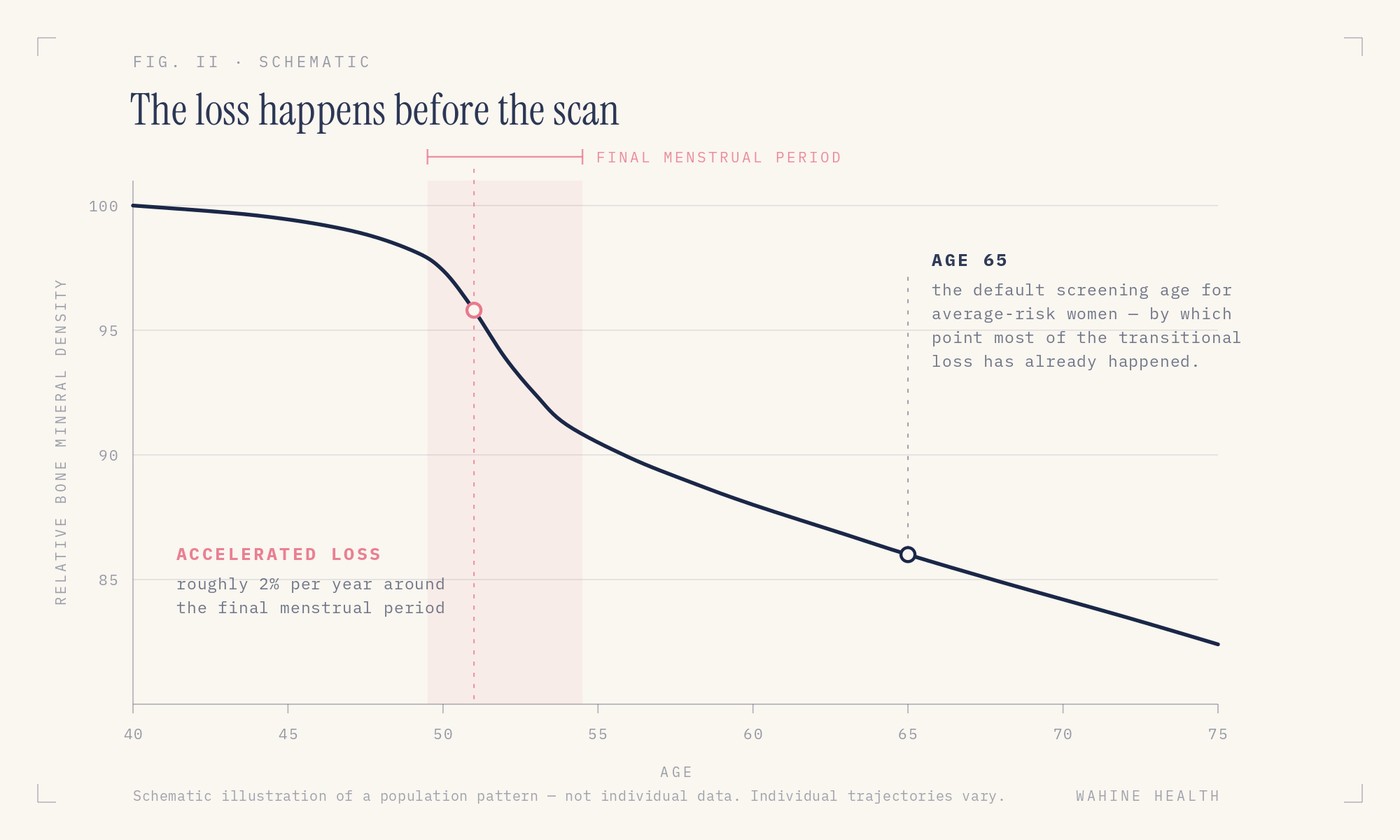 Chart showing relative bone mineral density from age 40 to 75, with accelerated loss highlighted around the final menstrual period at about age 51 and a marker at age 65, the default screening age