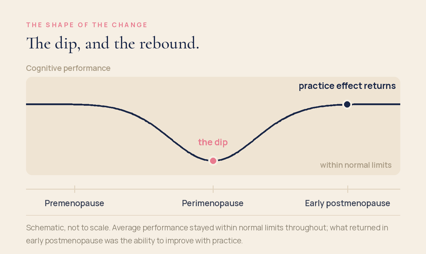 Schematic curve showing cognitive performance dipping through perimenopause and returning in early postmenopause, staying within normal limits throughout.